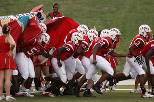 乐鱼体育官网网址-红雀四分卫回归，进攻端焕发新活力，红雀怎么样